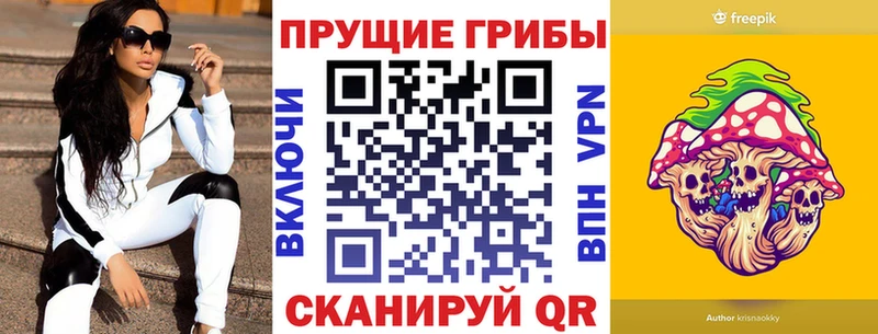 цена Курчалой Галлюциногенные грибы Psilocybe