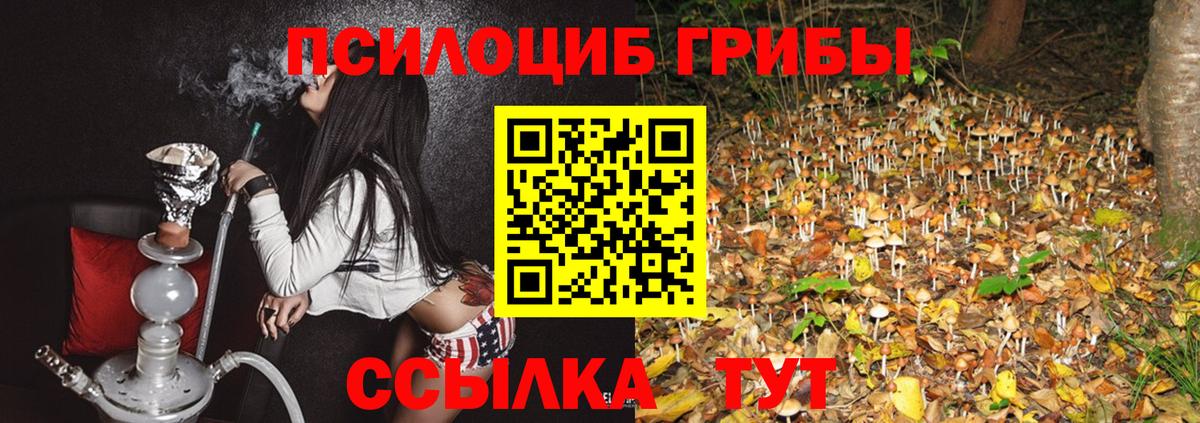 Галлюциногенные грибы ЛСД Курчалой