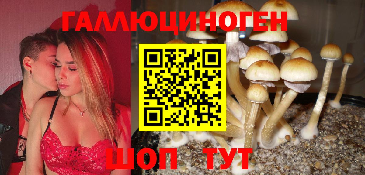 Псилоцибиновые грибы Cubensis  Вход с VPN  Курчалой 