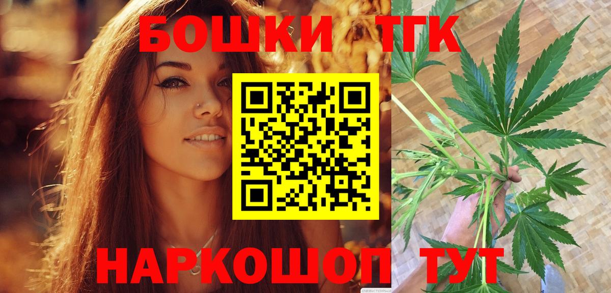 Каннабис сатива Курчалой